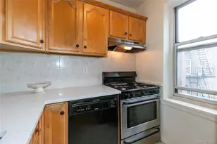 75 S Middle Neck, Great Neck, NY 11021 - Photo 10