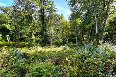 31 Kapetanakis Lane, Stone Ridge, NY 12484 - Photo 14