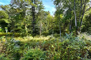 31 Kapetanakis Ln, Stone Ridge, NY 12484 - Photo 14