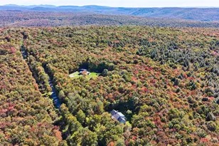 452 White Roe Lake Rd, Livingston Manor, NY 12758 - Photo 32