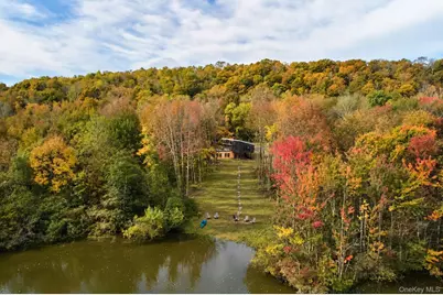 94 Blackberry Lake Road, Jeffersonville, NY 12748 - Photo 34