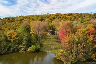 94 Blackberry Lake Rd, Jeffersonville, NY 12748 - Photo 34
