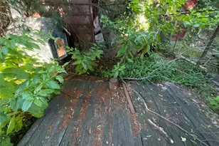 827 Pine St, Brooklyn, NY 11208 - Photo 6