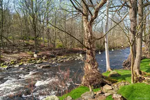 4929 State Route 52, Jeffersonville, NY 12748 - Photo 6