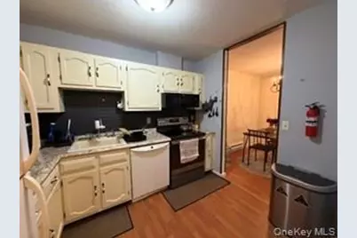 46 Patterson Village Court, Patterson, NY 12563 - Photo 4