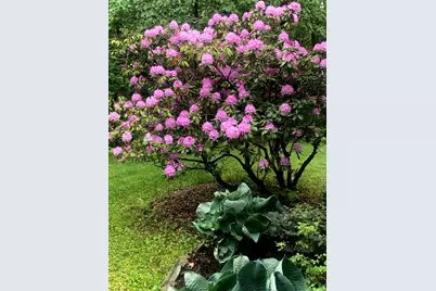 230 Middle Road, Austerlitz, NY 12017 - Photo 8