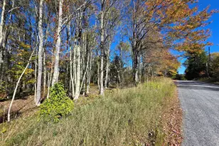 204-214 O'keefe Hill Rd, Parksville, NY 12768 - Photo 20