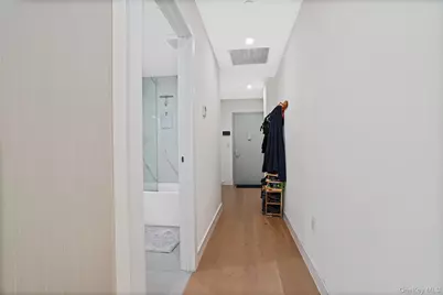 379 Ocean Parkway #3A, Brooklyn, NY 11218 - Photo 18