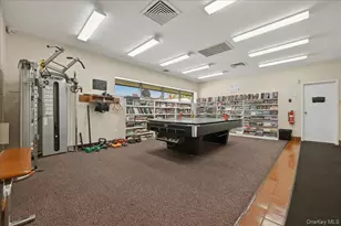 162 Laurel Ln, Wantagh, NY 11793 - Photo 36