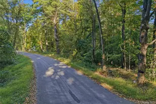 66 Turkey Hill Rd, Kerhonkson, NY 12446 - Photo 18