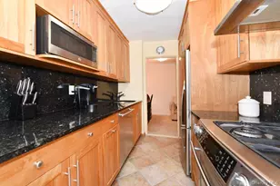 6 Birchwood Ct, Mineola, NY 11501 - Photo 8