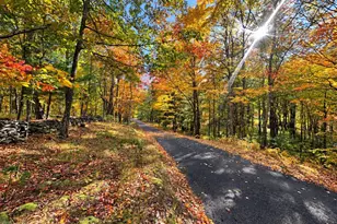 7 Stonehouse Rd, Rhinebeck, NY 12572 - Photo 2