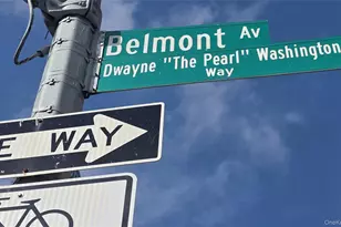 97 Belmont Ave - Dwayne "The Pear" Washington Way, Brooklyn, NY 11212 - Photo 2