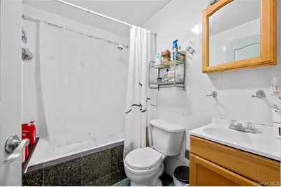 15 Evans Street, Brooklyn, NY 11201 - Photo 8