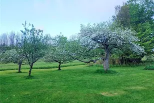 354 E Hill Rd, Jeffersonville, NY 12748 - Photo 34