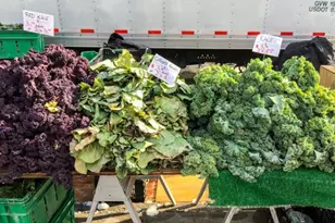 37-30 83rd St, Jackson Heights, NY 11372 - Photo 16