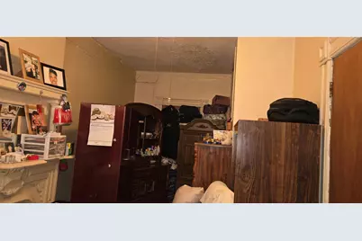 495 Halsey Street, Brooklyn, NY 11233 - Photo 22