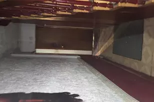 495 Halsey St, Brooklyn, NY 11233 - Photo 4