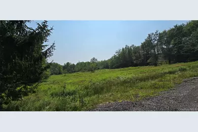 376 Aden Hill Road, Neversink, NY 12765 - Photo 48