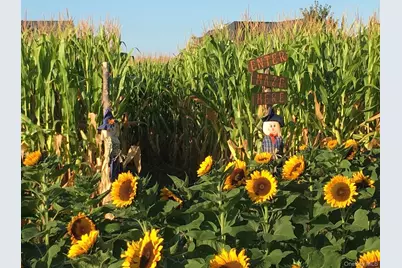 515 Corey Creek Lane, Southold, NY 11971 - Photo 26