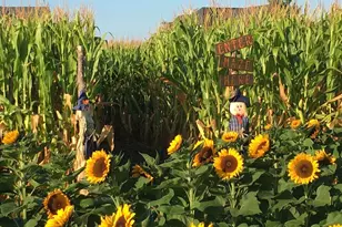 515 Corey Creek Ln, Southold, NY 11971 - Photo 26