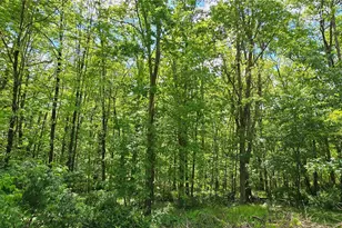 7599 State Route 97, Narrowsburg, NY 12764 - Photo 40