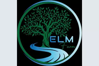 14 Tamarack Drive, Newburgh, NY 12550 - Photo 6