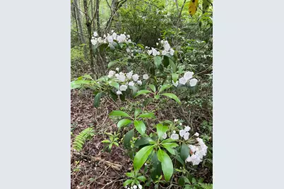 1021 Pine Kill Road, Wurtsboro, NY 12790 - Photo 4