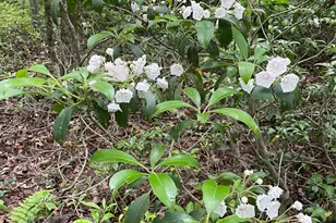 1021 Pine Kill Rd, Wurtsboro, NY 12790 - Photo 4