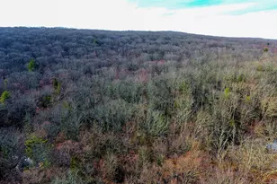 1021 Pine Kill Rd, Wurtsboro, NY 12790 - Photo 24