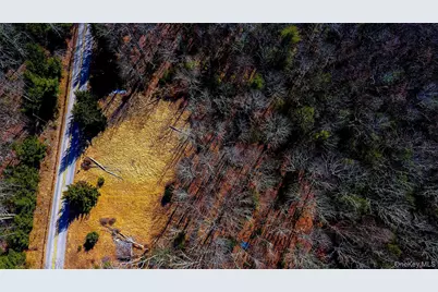 1021 Pine Kill Road, Wurtsboro, NY 12790 - Photo 18