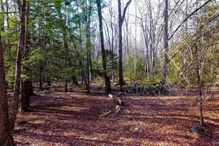 1021 Pine Kill Rd, Wurtsboro, NY 12790 - Photo 26