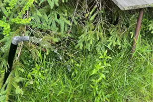 1021 Pine Kill Rd, Wurtsboro, NY 12790 - Photo 8