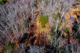 1021 Pine Kill Rd, Wurtsboro, NY 12790 - Photo 12