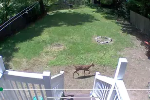 57 Menges Rd, Youngsville, NY 12758 - Photo 20