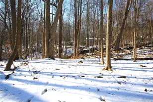 35 Mountain Trail, Croton on Hudson, NY 10520 - Photo 34