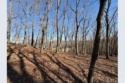 00 Route 7, Copake Falls, NY 12516 - Photo 28