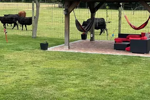 4100 Youngs Ave, Southold, NY 11971 - Photo 30