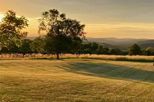 310 Carpenter Hill Rd, Pine Plains, NY 12567 - Photo 44