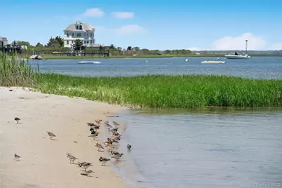 846 Dune Road, Westhampton Beach, NY 11978 - Photo 8