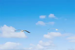 846 Dune Rd, Westhampton Beach, NY 11978 - Photo 34