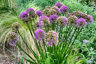 203 Noyack Rd, Southampton, NY 11968 - Photo 30