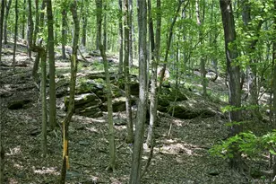 425 Spring Lake Rd, Red Hook, NY 12571 - Photo 22