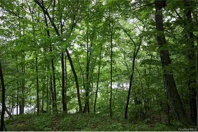 425 Spring Lake Road, Red Hook, NY 12571 - Photo 16