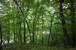 425 Spring Lake Rd, Red Hook, NY 12571 - Photo 16