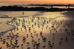 223 E Broadway, Long Beach, NY 11561 - Photo 24