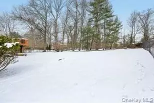 14 Westlyn Dr, Bardonia, NY 10954 - Photo 30