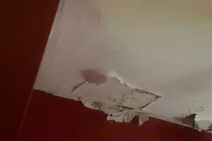 2713 Eastchester Rd, Bronx, NY 10469 - Photo 6