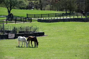 165 Drake Rd, Pleasant Valley, NY 12569 - Photo 48