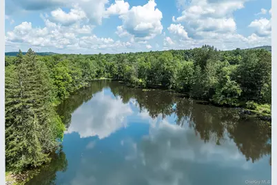 165 Drake Road, Pleasant Valley, NY 12569 - Photo 4